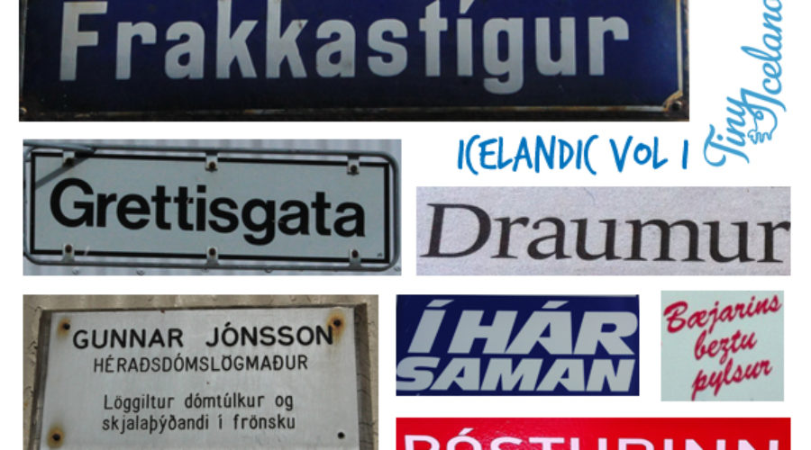 Learn Icelandic VOL I with Tiny Iceland